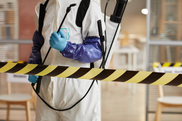 Professional Sewage Cleanup technician working in Santa Clara, OR